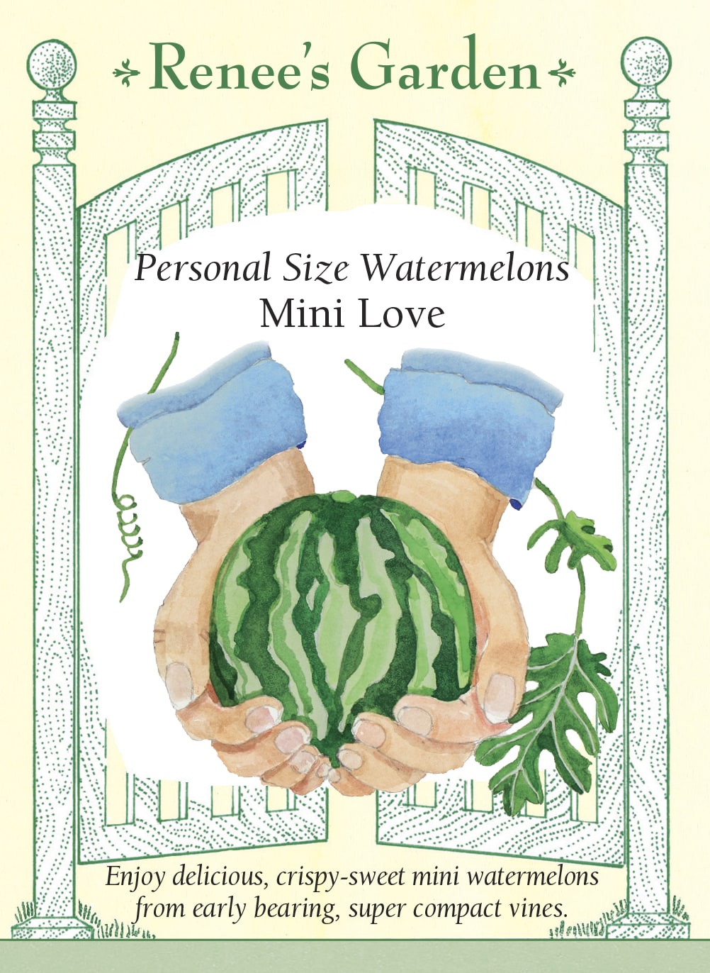 Visuel officiel de Renee's Garden pour les semences « Melon d’eau ‘Mini Love’ », référence RN5512. Ce melon d’eau porte de petits fruits rayés de vert, à chair rouge et à graines peu nombreuses. Le semencier annonce environ 10 à 15 cm (4 à 6 po) de diamètre et 1,4 à 2,7 kg (3 à 6 lb). Les tiges compactes sont proposées pour les grands contenants et les petits jardins.