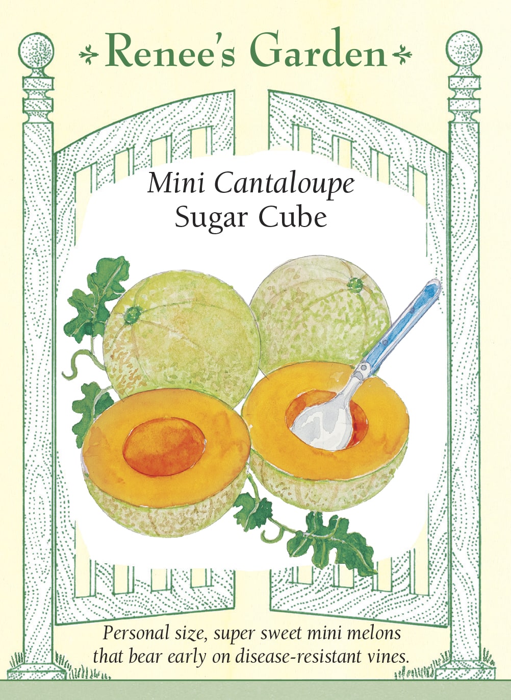 Visuel officiel de Renee's Garden pour les semences « Cantaloup ‘Sugar Cube’ », référence RN5515. Ce petit cantaloup produit des fruits de format individuel, comparables à un petit pamplemousse. La chair orange foncé est décrite comme très douce. Le semencier souligne une production précoce et prolongée sur des tiges vigoureuses. Le petit calibre permet de récolter des fruits destinés à une collation ou à un dessert sans préparer un gros melon.