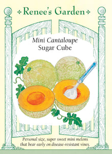 Visuel officiel de Renee's Garden pour les semences « Cantaloup ‘Sugar Cube’ », référence RN5515. Ce petit cantaloup produit des fruits de format individuel, comparables à un petit pamplemousse. La chair orange foncé est décrite comme très douce. Le semencier souligne une production précoce et prolongée sur des tiges vigoureuses. Le petit calibre permet de récolter des fruits destinés à une collation ou à un dessert sans préparer un gros melon.