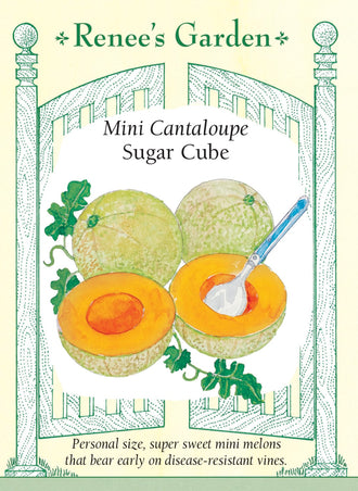 Visuel officiel de Renee's Garden pour les semences « Cantaloup ‘Sugar Cube’ », référence RN5515. Ce petit cantaloup produit des fruits de format individuel, comparables à un petit pamplemousse. La chair orange foncé est décrite comme très douce. Le semencier souligne une production précoce et prolongée sur des tiges vigoureuses. Le petit calibre permet de récolter des fruits destinés à une collation ou à un dessert sans préparer un gros melon.