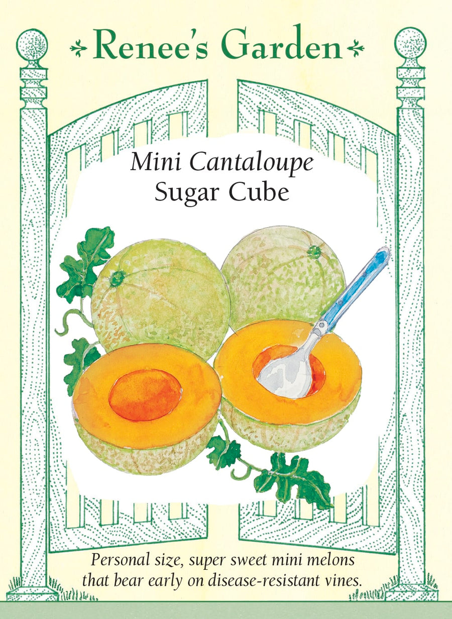 Visuel officiel de Renee's Garden pour les semences « Cantaloup ‘Sugar Cube’ », référence RN5515. Ce petit cantaloup produit des fruits de format individuel, comparables à un petit pamplemousse. La chair orange foncé est décrite comme très douce. Le semencier souligne une production précoce et prolongée sur des tiges vigoureuses. Le petit calibre permet de récolter des fruits destinés à une collation ou à un dessert sans préparer un gros melon.