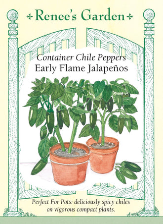 Visuel officiel de Renee's Garden pour les semences « Piment jalapeño ‘Early Flame’ », référence RN5520. Ce jalapeño compact porte ses fruits vers le haut du plant, ce qui facilite leur repérage. Les piments coniques mesurent environ 9 cm (3,5 po) et possèdent des parois épaisses. Le semencier décrit une force faible à modérée pour ce type. Les fruits verts peuvent être utilisés dans les salsas ou les plats cuits.