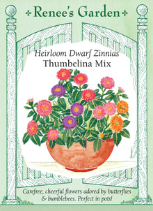 Visuel officiel de Renee's Garden associé aux semences de Zinnias nains en mélange Thumbelina, référence RN5523. Les plantes ramifiées atteignent environ 30 à 40 cm (12 à 16 po). Les fleurs semi-doubles et doubles mesurent environ 5 cm (2 po) et présentent des tons roses, saumon, lavande, pourpres, orange, rouges et jaunes.