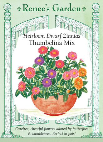 Visuel officiel de Renee's Garden associé aux semences de Zinnias nains en mélange Thumbelina, référence RN5523. Les plantes ramifiées atteignent environ 30 à 40 cm (12 à 16 po). Les fleurs semi-doubles et doubles mesurent environ 5 cm (2 po) et présentent des tons roses, saumon, lavande, pourpres, orange, rouges et jaunes.