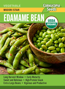 Visuel officiel de Cornucopia associé aux semences de Soya edamame ‘Midori Star’, référence CS552. Ce soya se récolte lorsque les gousses sont encore vertes et que les grains sont bien formés. Il demande de la chaleur et un sol fertile, drainé et régulièrement humide. Les grains sont destinés à la préparation d’edamames cuits.