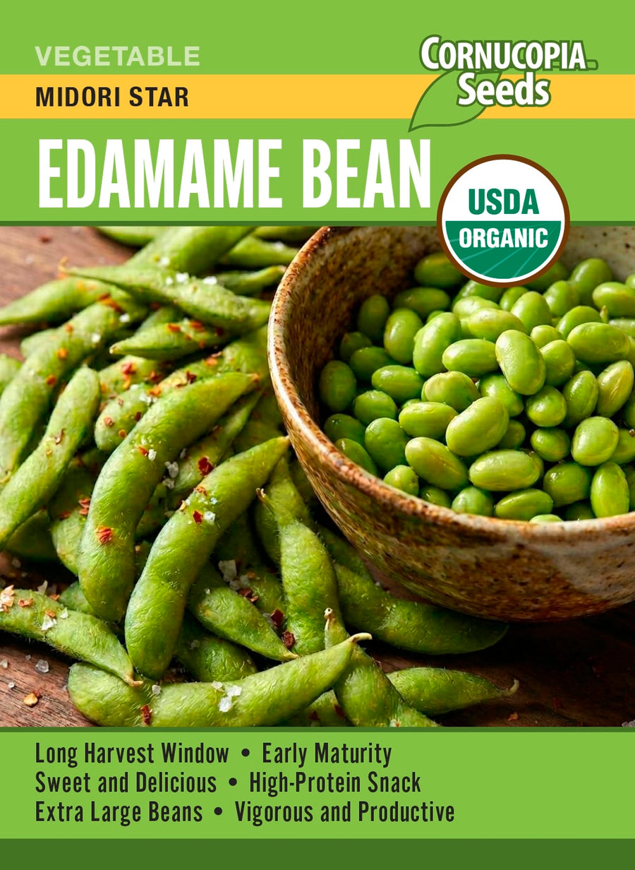 Visuel officiel de Cornucopia associé aux semences de Soya edamame ‘Midori Star’, référence CS552. Ce soya se récolte lorsque les gousses sont encore vertes et que les grains sont bien formés. Il demande de la chaleur et un sol fertile, drainé et régulièrement humide. Les grains sont destinés à la préparation d’edamames cuits.