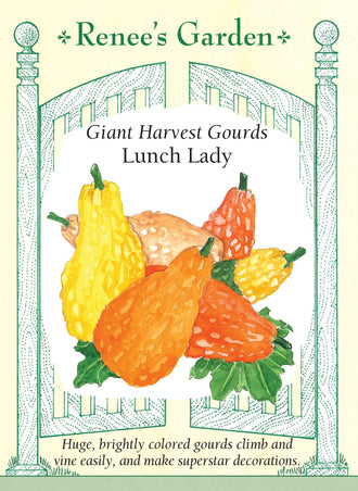 Visuel officiel de Renee's Garden pour les semences « Courges décoratives en mélange Lunch Lady », référence RN5532. Cette sélection produit de très grosses courges décoratives allongées et verruqueuses. Le semencier annonce environ 46 à 56 cm (18 à 22 po) de hauteur pour les fruits, avec une base de 25 à 30 cm (10 à 12 po) de diamètre. Les couleurs comprennent l’orange, le rouge doré, le vert foncé et des combinaisons bicolores.