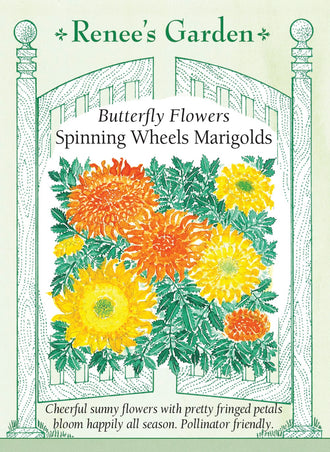 Visuel officiel de Renee's Garden associé aux semences de Tagètes en mélange Spinning Wheels, référence RN5533. Ce mélange associe des fleurs jaune citron, dorées et orange. Les centres denses sont entourés d’une frange de pétales courbés. Les fleurs mesurent environ 6 cm (2,5 po), selon le semencier. Les plants ramifiés portent un feuillage bleu-vert et se prêtent aux plates-bandes comme aux bouquets.
