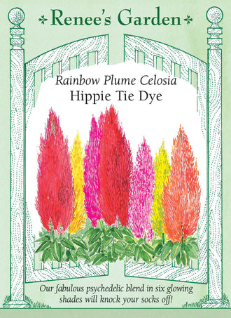 Visuel officiel de Renee's Garden associé aux semences de Célosies en mélange Hippie Tie Dye, référence RN5534. Ce mélange de célosies plumeuses présente plusieurs couleurs vives sur des plants ramifiés d’environ 46 cm (18 po). Le semencier souligne une floraison prolongée par temps chaud. Les inflorescences peuvent être utilisées fraîches ou séchées. Le mélange convient aux plates-bandes et aux grands contenants.
