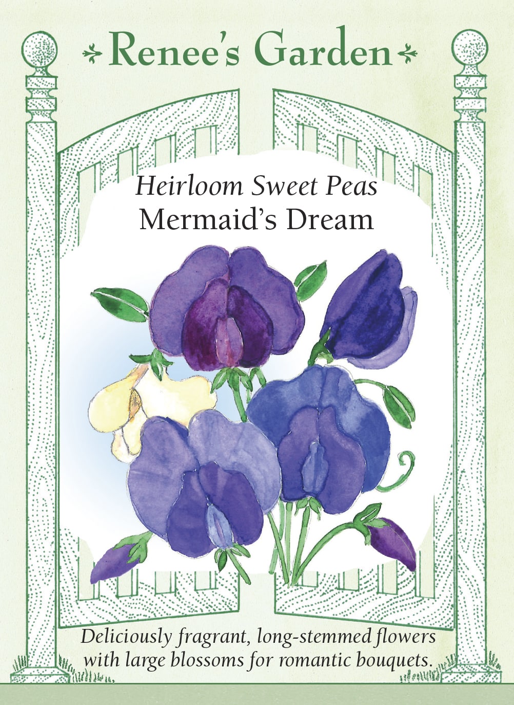 Visuel officiel de Renee's Garden associé aux semences de Pois de senteur en mélange Mermaid’s Dream, référence RN5537. Ce mélange de type Mammoth associe des fleurs bleues, lavande, mauves et violettes à quelques fleurs crème. Les grandes fleurs parfumées sont portées sur de longues tiges. Les couleurs fleurissent ensemble et permettent de composer des bouquets harmonieux.