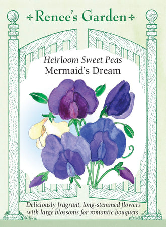 Visuel officiel de Renee's Garden associé aux semences de Pois de senteur en mélange Mermaid’s Dream, référence RN5537. Ce mélange de type Mammoth associe des fleurs bleues, lavande, mauves et violettes à quelques fleurs crème. Les grandes fleurs parfumées sont portées sur de longues tiges. Les couleurs fleurissent ensemble et permettent de composer des bouquets harmonieux.