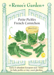 Visuel officiel de Renee's Garden pour les semences « Concombre à cornichons French Cornichon », référence RN5542. Cette sélection française se récolte en petits fruits fermes destinés aux cornichons. Le semencier décrit des plants vigoureux et précoces, portant de nombreux fruits. Il indique une variété parthénocarpique, capable de former des fruits sans fécondation.