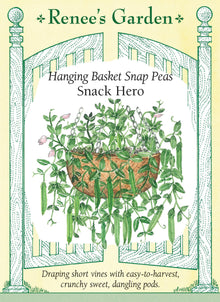 Visuel officiel de Renee's Garden pour les semences « Pois croquant ‘Snack Hero’ », référence RN5544. Cette sélection développe de courtes tiges retombantes d’environ 46 cm (18 po). Le semencier la propose pour les pots, les jardinières et les paniers suspendus. Les gousses pleines sont croquantes, douces et décrites comme sans fil. Le port retombant rend les gousses accessibles sur les bords du contenant.