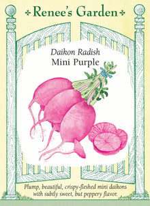 Visuel officiel de Renee's Garden pour les semences « Radis daïkon ‘Mini Purple’ », référence RN5545. Ce petit daïkon présente une peau violette et une chair marquée de violet au centre. Les racines rondes à allongées mesurent environ 8 à 13 cm (3 à 5 po), selon les conditions. Le semencier décrit une saveur légèrement douce et poivrée, qui s’adoucit à la cuisson.