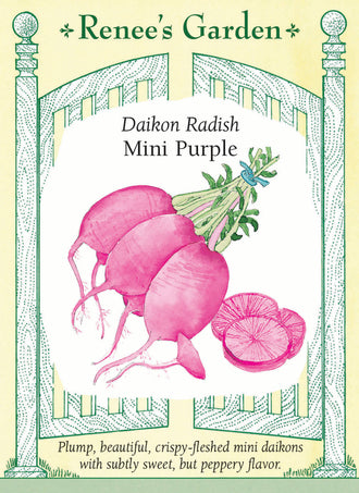 Visuel officiel de Renee's Garden pour les semences « Radis daïkon ‘Mini Purple’ », référence RN5545. Ce petit daïkon présente une peau violette et une chair marquée de violet au centre. Les racines rondes à allongées mesurent environ 8 à 13 cm (3 à 5 po), selon les conditions. Le semencier décrit une saveur légèrement douce et poivrée, qui s’adoucit à la cuisson.