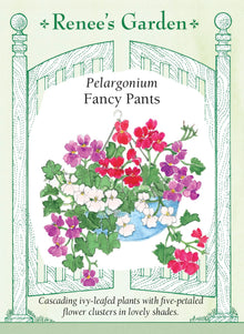Visuel officiel de Renee's Garden associé aux semences de Pélargoniums lierres en mélange Fancy Pants, référence RN5548. Les tiges retombantes portent des feuilles rappelant celles du lierre et des groupes de fleurs simples rose cerise, lavande ou crème. La plante atteint environ 30 à 45 cm (12 à 18 po). Son port convient aux paniers suspendus et aux jardinières.