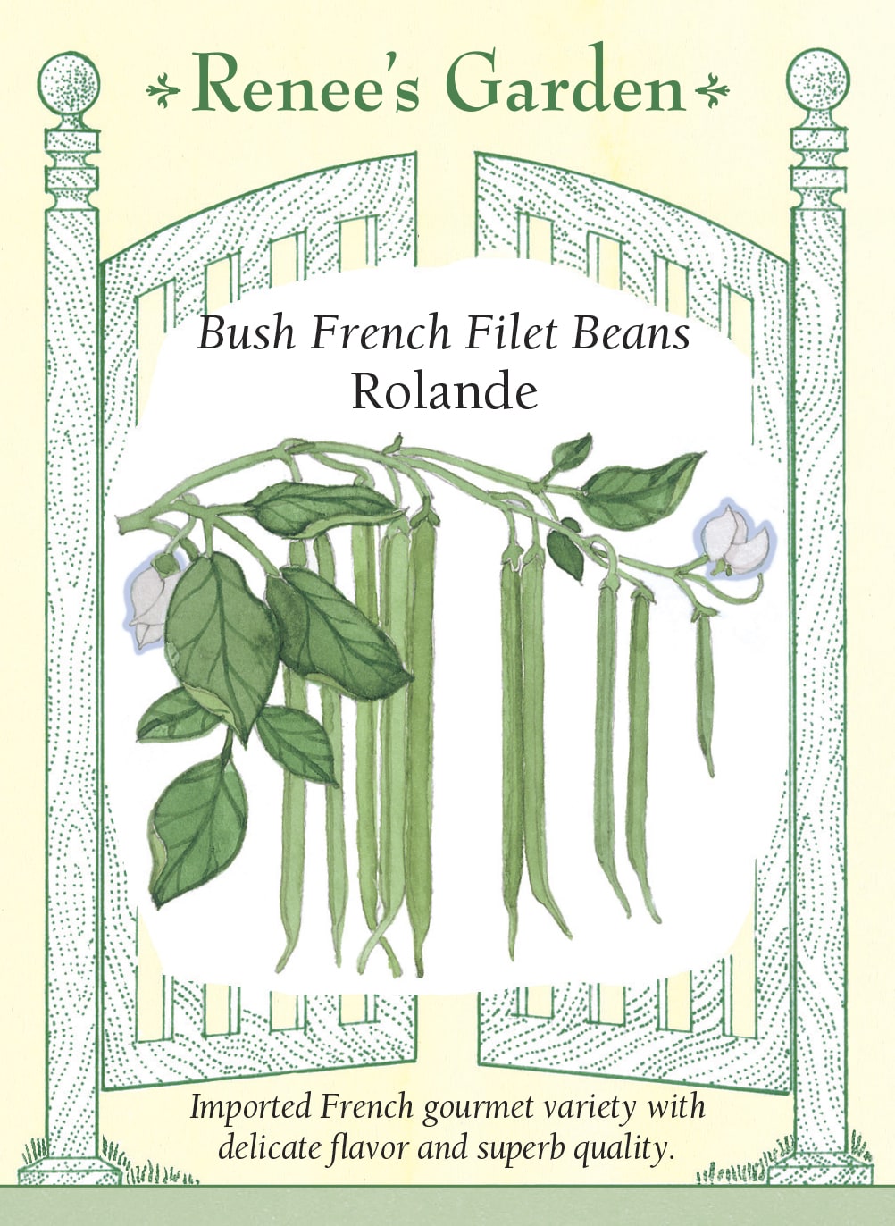 Visuel officiel de Renee's Garden pour les semences « Haricot nain ‘Rolande’ », référence RN5552. Ce haricot filet français forme de longues gousses vert foncé, arrondies et très minces. Leur longueur atteint environ 15 cm (6 po). Les plants robustes portent une récolte destinée à être cueillie jeune, pour profiter de sa texture délicate. Les gousses peuvent être cuites brièvement à la vapeur et servies entières, avec un assaisonnement simple qui laisse ressortir leur saveur.