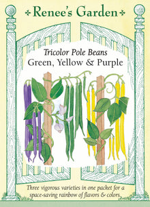 Visuel officiel de Renee's Garden pour les semences « Haricots grimpants en mélange Tricolor », référence RN5560. Ce mélange contient à parts égales ‘Blue Lake’, ‘Yellow Pole Wax’ et ‘Purple Peacock’. Les plants grimpants produisent des gousses vertes, jaunes et pourpres, ce qui permet de varier les récoltes sur une surface occupée surtout en hauteur. Le semencier décrit des gousses longues, tendres et juteuses.