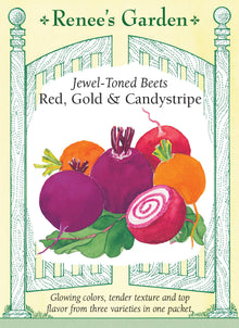 Visuel officiel de Renee's Garden pour les semences « Betteraves en mélange Jewel-Toned Blend », référence RN5570. Cette sélection associe des betteraves bourgogne, dorées et annelées. Le mélange annoncé comprend ‘Chioggia Guardsmark’, ‘Golden’ et ‘Kestrel’. Les racines lisses offrent une saveur douce et terreuse et peuvent être récoltées à différents calibres.