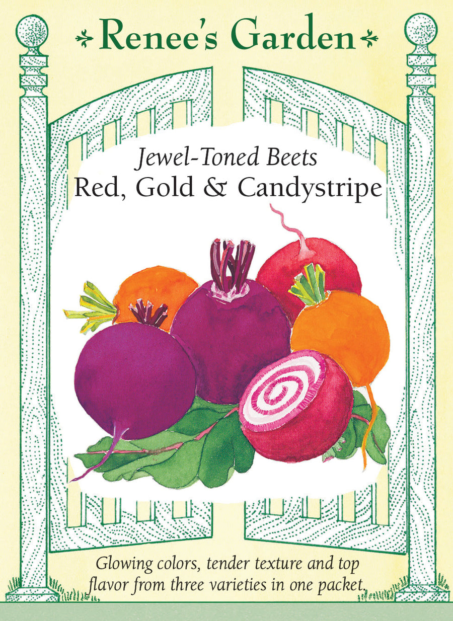 Visuel officiel de Renee's Garden pour les semences « Betteraves en mélange Jewel-Toned Blend », référence RN5570. Cette sélection associe des betteraves bourgogne, dorées et annelées. Le mélange annoncé comprend ‘Chioggia Guardsmark’, ‘Golden’ et ‘Kestrel’. Les racines lisses offrent une saveur douce et terreuse et peuvent être récoltées à différents calibres.
