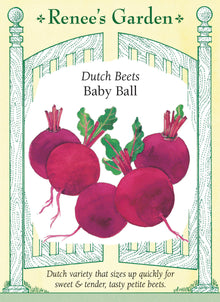 Visuel officiel de Renee's Garden pour les semences « Betterave ‘Baby Ball’ », référence RN5572. ‘Baby Ball’ est une petite betterave ronde, destinée à une récolte de racines miniatures. Le semencier indique un diamètre d’environ 2,5 à 4 cm (1 à 1,5 po) au stade recherché. Les racines sont décrites comme tendres et sucrées. Leur petit calibre se prête à la cuisson entière et permet de préparer des portions uniformes sans attendre que les betteraves prennent un gros volume.