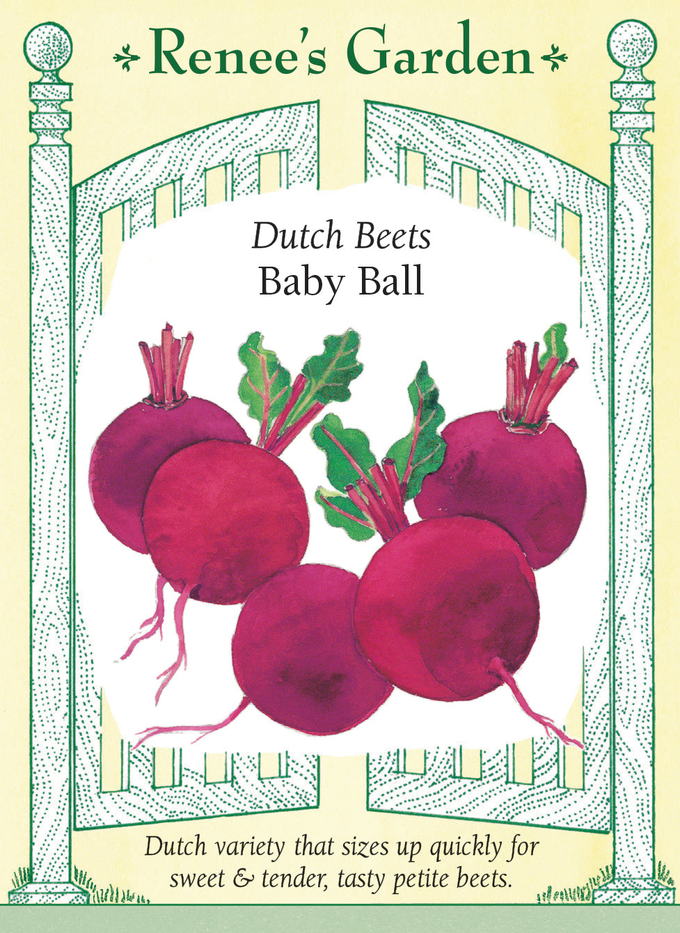 Visuel officiel de Renee's Garden pour les semences « Betterave ‘Baby Ball’ », référence RN5572. ‘Baby Ball’ est une petite betterave ronde, destinée à une récolte de racines miniatures. Le semencier indique un diamètre d’environ 2,5 à 4 cm (1 à 1,5 po) au stade recherché. Les racines sont décrites comme tendres et sucrées. Leur petit calibre se prête à la cuisson entière et permet de préparer des portions uniformes sans attendre que les betteraves prennent un gros volume.