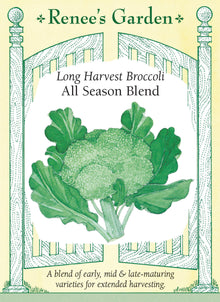 Visuel officiel de Renee's Garden pour les semences « Brocolis en mélange All Season Blend », référence RN5580. Ce mélange associe ‘Matsuri F1’, ‘Green Magic F1’ et ‘Gypsy F1’, dont les maturités diffèrent. L’objectif est d’étaler les récoltes à partir d’un même semis. Les plants produisent des pommes principales bleu-vert aux boutons serrés, puis des pousses latérales. Il faut observer chaque plant séparément, puisque les trois variétés ne seront pas nécessairement prêtes à être coupées au même moment.