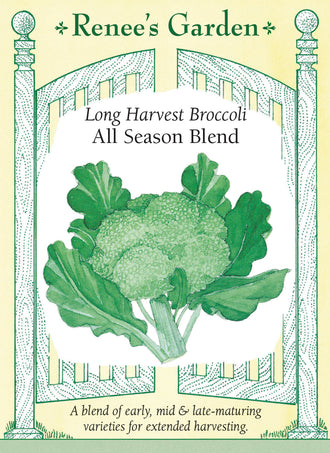 Visuel officiel de Renee's Garden pour les semences « Brocolis en mélange All Season Blend », référence RN5580. Ce mélange associe ‘Matsuri F1’, ‘Green Magic F1’ et ‘Gypsy F1’, dont les maturités diffèrent. L’objectif est d’étaler les récoltes à partir d’un même semis. Les plants produisent des pommes principales bleu-vert aux boutons serrés, puis des pousses latérales. Il faut observer chaque plant séparément, puisque les trois variétés ne seront pas nécessairement prêtes à être coupées au même moment.