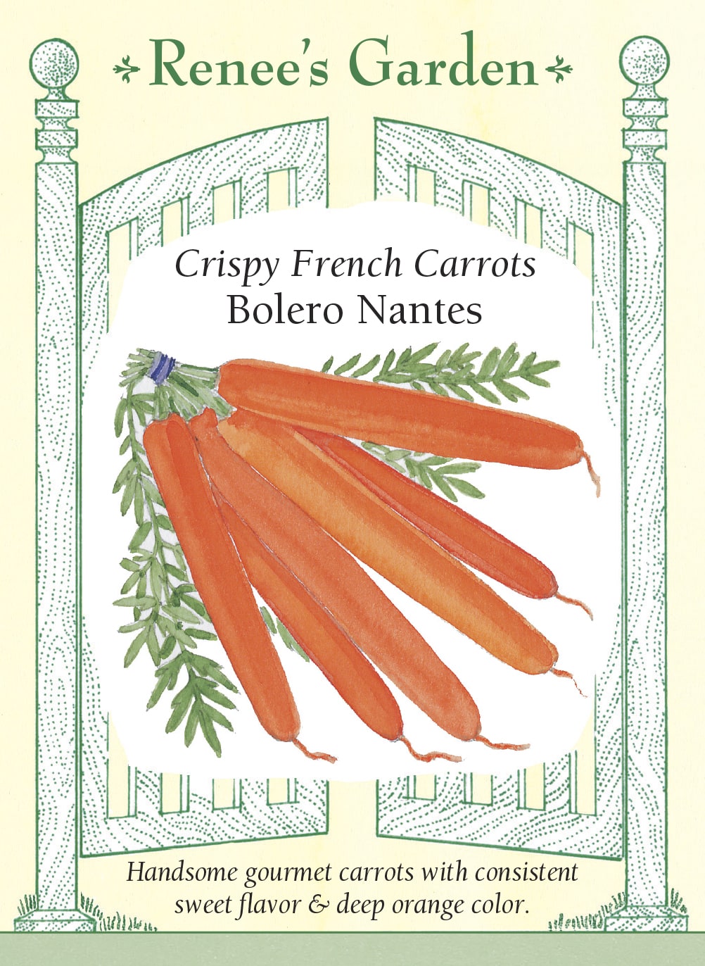 Visuel officiel de Renee's Garden pour les semences « Carotte ‘Bolero’ », référence RN5590. Cette carotte de type Nantes produit des racines cylindriques, orange foncé et à extrémité arrondie, longues d’environ 15 à 18 cm (6 à 7 po). Le semencier décrit une texture croquante, une chair juteuse et une saveur douce. Les carottes peuvent être récoltées jeunes ou laissées atteindre leur calibre habituel. Leur peau lisse facilite la préparation après un lavage soigneux.