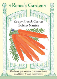 Visuel officiel de Renee's Garden pour les semences « Carotte ‘Bolero’ », référence RN5590. Cette carotte de type Nantes produit des racines cylindriques, orange foncé et à extrémité arrondie, longues d’environ 15 à 18 cm (6 à 7 po). Le semencier décrit une texture croquante, une chair juteuse et une saveur douce. Les carottes peuvent être récoltées jeunes ou laissées atteindre leur calibre habituel. Leur peau lisse facilite la préparation après un lavage soigneux.