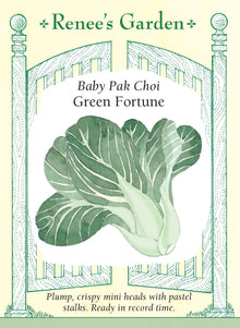 Visuel officiel de Renee's Garden pour les semences « Pak-choï ‘Green Fortune’ », référence RN5607. Ce petit pak-choï forme des pommes compactes en forme de vase, hautes d’environ 15 à 20 cm (6 à 8 po). Les côtes pâles et croquantes contrastent avec les feuilles vert foncé. Le semencier décrit une croissance rapide et une saveur douce. Les petites pommes conviennent aux sautés et aux préparations braisées.