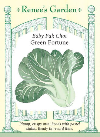 Visuel officiel de Renee's Garden pour les semences « Pak-choï ‘Green Fortune’ », référence RN5607. Ce petit pak-choï forme des pommes compactes en forme de vase, hautes d’environ 15 à 20 cm (6 à 8 po). Les côtes pâles et croquantes contrastent avec les feuilles vert foncé. Le semencier décrit une croissance rapide et une saveur douce. Les petites pommes conviennent aux sautés et aux préparations braisées.