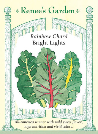 Visuel officiel de Renee's Garden pour les semences « Bette à carde ‘Bright Lights’ », référence RN5610. Cette sélection multicolore développe des feuilles vertes et des côtes jaunes, rouges, dorées, roses ou blanches, parfois orange. Le semencier décrit une saveur douce et une production qui peut se prolonger avec les récoltes. Les couleurs restent variables d’un plant à l’autre, ce qui fait partie de l’intérêt de cette bette à carde au jardin.