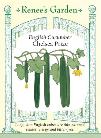 Visuel officiel de Renee's Garden pour les semences « Concombre ‘Chelsea Prize’ », référence RN5620. Ce concombre de type anglais produit de longs fruits minces, d’environ 30 à 38 cm (12 à 15 po). La peau est fine et la chair croquante contient peu de graines. Le semencier décrit une variété parthénocarpique à tiges vigoureuses. Les longs fruits peuvent être tranchés finement pour les salades ou coupés en bâtonnets pour une consommation fraîche.