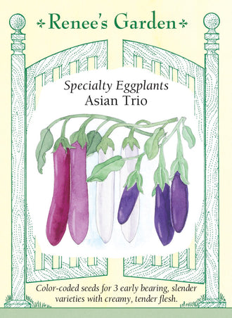 Visuel officiel de Renee's Garden pour les semences « Aubergines en mélange Asian Trio », référence RN5630. Ce mélange contient ‘Asian Bride’, à fruits lavande et blancs, ‘Charming’, à fruits magenta, et ‘Farmer’s Long’, à fruits pourpre foncé. Les fruits sont allongés et leur chair tendre. Le semencier distingue les graines par une coloration alimentaire : les graines non colorées correspondent à ‘Asian Bride’, les vertes à ‘Charming’ et les roses à ‘Farmer’s Long’.