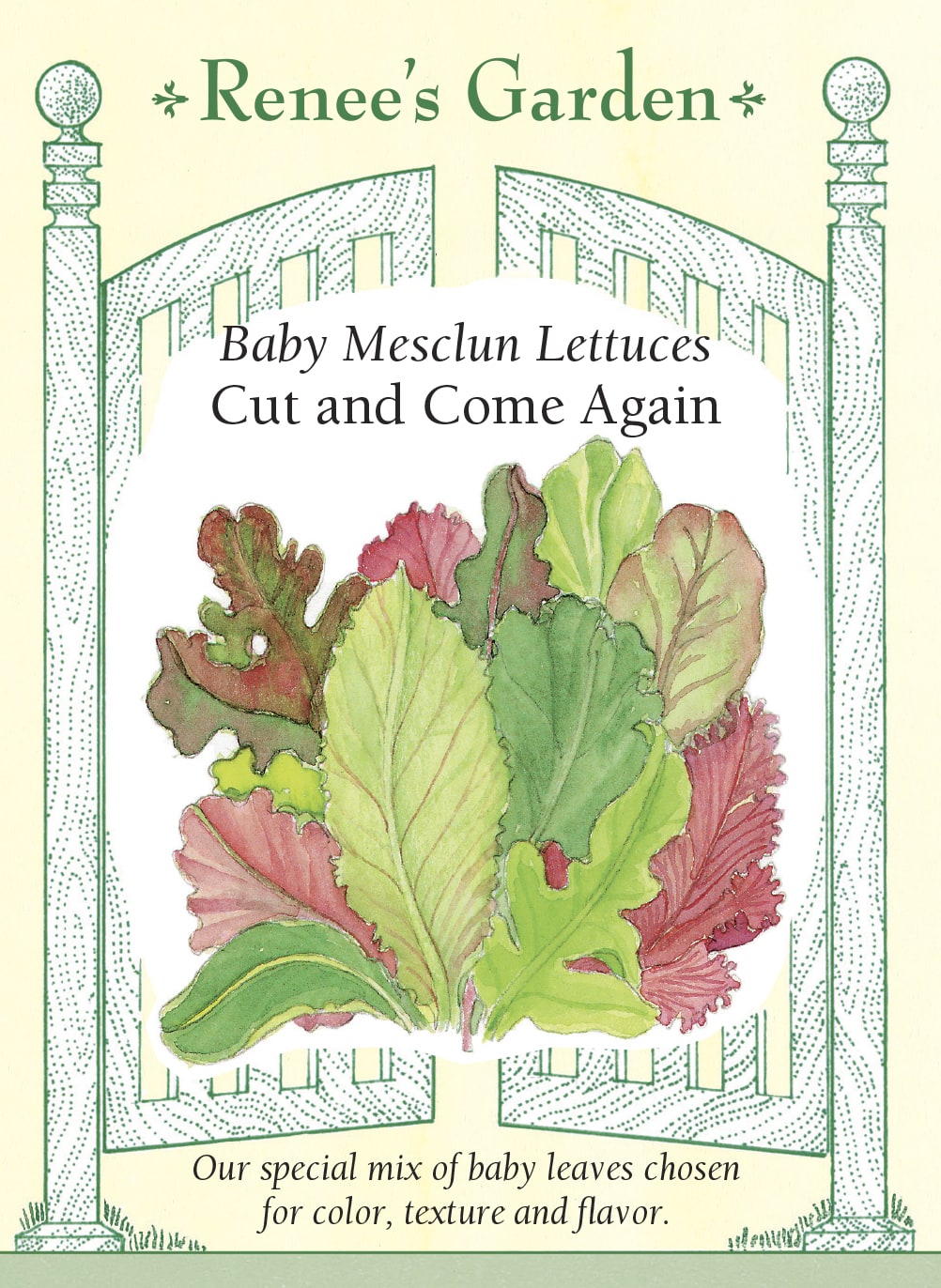 Visuel officiel de Renee's Garden pour les semences « Laitues en mélange Cut Again Baby Mesclun », référence RN5650. Ce mélange réunit ‘Rouge Grenobloise’, ‘Royal Oakleaf’, ‘Cimarron’, ‘Sucrine’, ‘Blonde Batavia’ et ‘Red Salad Bowl’. Les jeunes feuilles présentent plusieurs couleurs et textures. Le semencier propose une récolte par coupe, en conservant les plants pour une repousse lorsque les conditions s’y prêtent. Il s’agit d’un mélange de laitues, plutôt que d’une seule variété uniforme.
