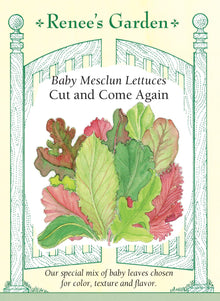 Visuel officiel de Renee's Garden pour les semences « Laitues en mélange Cut Again Baby Mesclun », référence RN5650. Ce mélange réunit ‘Rouge Grenobloise’, ‘Royal Oakleaf’, ‘Cimarron’, ‘Sucrine’, ‘Blonde Batavia’ et ‘Red Salad Bowl’. Les jeunes feuilles présentent plusieurs couleurs et textures. Le semencier propose une récolte par coupe, en conservant les plants pour une repousse lorsque les conditions s’y prêtent. Il s’agit d’un mélange de laitues, plutôt que d’une seule variété uniforme.