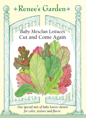 Visuel officiel de Renee's Garden pour les semences « Laitues en mélange Cut Again Baby Mesclun », référence RN5650. Ce mélange réunit ‘Rouge Grenobloise’, ‘Royal Oakleaf’, ‘Cimarron’, ‘Sucrine’, ‘Blonde Batavia’ et ‘Red Salad Bowl’. Les jeunes feuilles présentent plusieurs couleurs et textures. Le semencier propose une récolte par coupe, en conservant les plants pour une repousse lorsque les conditions s’y prêtent. Il s’agit d’un mélange de laitues, plutôt que d’une seule variété uniforme.
