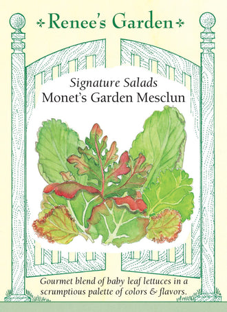 Visuel officiel de Renee's Garden pour les semences « Laitues en mélange Monet’s Garden », référence RN5652. Cette sélection comprend à parts égales ‘Little Gem’, ‘Dutch Redina’, ‘Rouge Grenobloise’, ‘Red Salad Bowl’ et ‘Tango’. Elle associe de petites romaines, des laitues frisées et des batavias aux couleurs variées. Le semencier recommande de récolter les jeunes feuilles par coupe. Le mélange permet de réunir plusieurs textures dans une même salade.