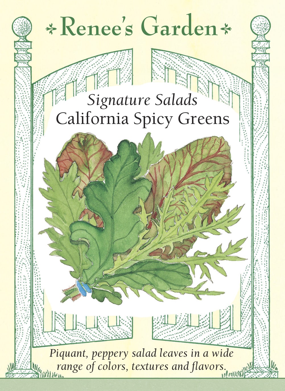 Visuel officiel de Renee's Garden pour les semences « Verdure en mélange California Spicy Greens », référence RN5655. Ce mélange contient à parts égales de la roquette, de la chicorée frisée, du mizuna et de la moutarde rouge. Il associe plusieurs formes de feuilles et des saveurs plus relevées que celles d’une laitue douce. Les jeunes feuilles peuvent être récoltées ensemble, puis utilisées seules ou mélangées à des laitues plus douces.