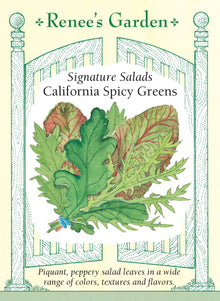 Visuel officiel de Renee's Garden pour les semences « Verdure en mélange California Spicy Greens », référence RN5655. Ce mélange contient à parts égales de la roquette, de la chicorée frisée, du mizuna et de la moutarde rouge. Il associe plusieurs formes de feuilles et des saveurs plus relevées que celles d’une laitue douce. Les jeunes feuilles peuvent être récoltées ensemble, puis utilisées seules ou mélangées à des laitues plus douces.