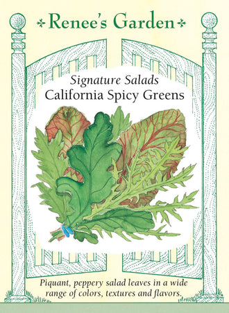 Visuel officiel de Renee's Garden pour les semences « Verdure en mélange California Spicy Greens », référence RN5655. Ce mélange contient à parts égales de la roquette, de la chicorée frisée, du mizuna et de la moutarde rouge. Il associe plusieurs formes de feuilles et des saveurs plus relevées que celles d’une laitue douce. Les jeunes feuilles peuvent être récoltées ensemble, puis utilisées seules ou mélangées à des laitues plus douces.
