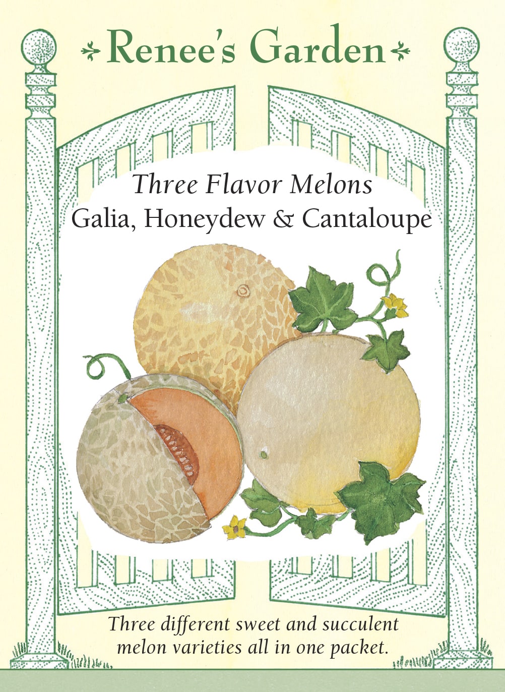 Visuel officiel de Renee's Garden pour les semences « Melons en mélange Three Flavor Mix », référence RN5680. Ce mélange réunit le melon Galia ‘Diplomat’, le melon miel ‘Santa Fe’ et le cantaloup ‘Solid Gold’. Les chairs et les parfums diffèrent entre les trois variétés. Le semencier distingue les graines par une coloration : jaune pour ‘Diplomat’, rose pour ‘Santa Fe’ et verte pour ‘Solid Gold’. Il faut suivre la maturité de chaque type séparément.