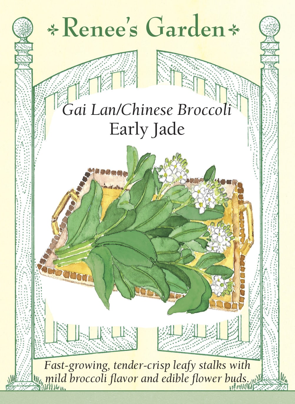 Visuel officiel de Renee's Garden pour les semences « Brocoli chinois ‘Early Jade’ », référence RN5682. Ce brocoli chinois, aussi appelé gai lan, se récolte pour ses tiges épaisses, ses feuilles et ses boutons floraux. Le semencier annonce un début de récolte après environ six à sept semaines. Les tiges sont juteuses et leur saveur rappelle le brocoli, en plus doux. Une repousse est possible après la coupe. Cette verdure convient particulièrement aux sautés et aux cuissons rapides.