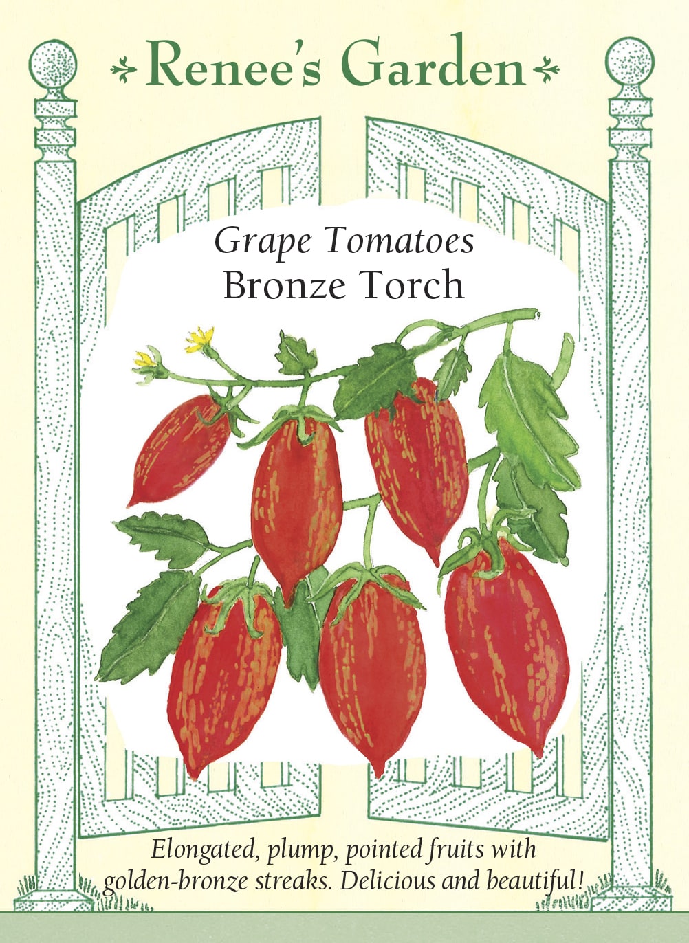 Visuel officiel de Renee's Garden pour les semences « Tomate ‘Bronze Torch’ », référence RN5683. Les tiges hautes portent des grappes de fruits allongés et pointus, rouges et rayés de bronze doré. Les tomates mesurent environ 5 à 8 cm (2 à 3 po). Le semencier souligne une saveur équilibrée et une bonne tenue après récolte. Les fruits peuvent être utilisés frais ou rôtis lentement.