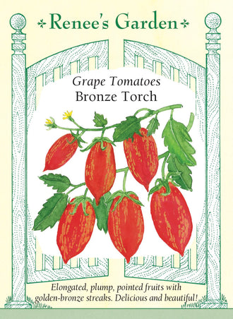 Visuel officiel de Renee's Garden pour les semences « Tomate ‘Bronze Torch’ », référence RN5683. Les tiges hautes portent des grappes de fruits allongés et pointus, rouges et rayés de bronze doré. Les tomates mesurent environ 5 à 8 cm (2 à 3 po). Le semencier souligne une saveur équilibrée et une bonne tenue après récolte. Les fruits peuvent être utilisés frais ou rôtis lentement.