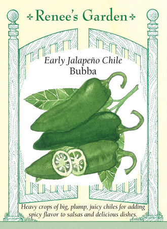 Visuel officiel de Renee's Garden pour les semences « Piment jalapeño ‘Bubba’ », référence RN5684. ‘Bubba’ porte des fruits épais et lustrés d’environ 8 à 9 cm (3 à 3,5 po), sur des plants compacts. Le semencier les situe autour de 20 000 unités Scoville, une valeur qui peut varier selon les conditions. Les fruits se récoltent verts ou rouges et peuvent être farcis ou incorporés aux sauces.