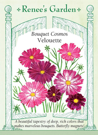 Visuel officiel de Renee's Garden associé aux semences de Cosmos en mélange Velouette, référence RN5687. Ce mélange porte des fleurs rayées, bordées ou unies, dans des tons canneberge, rose ancien, corail et blanc. Les plants atteignent environ 75 à 105 cm (2,5 à 3,5 pi). Le semencier souligne une floraison précoce et abondante. Les motifs diffèrent entre les fleurs et les plants.