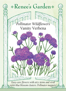 Visuel officiel de Renee's Garden associé aux semences de Verveine de Buenos Aires ‘Vanity’, référence RN5689. Les bouquets de fleurs pourpre bleu sont portés par de fines tiges ramifiées. Cette sélection compacte atteint environ 60 à 75 cm (2 à 2½ pi). Les fleurs attirent les pollinisateurs et conviennent aux bordures, aux contenants et aux bouquets.