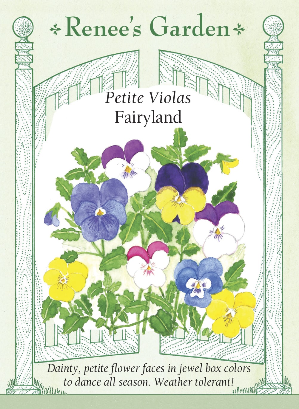 Visuel officiel de Renee's Garden associé aux semences de Pensées en mélange Fairyland, référence RN5690. Ce mélange offre de petites fleurs aux couleurs variées au-dessus d’un feuillage vert. Les plantes conviennent à l’avant des bordures et aux contenants. Les fleurs comestibles peuvent servir de garnitures; leur saveur est décrite comme légèrement mentholée.